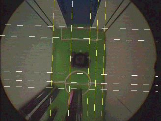 detected field lines before 
filtering out the incorrect ones, based on the geometric field model